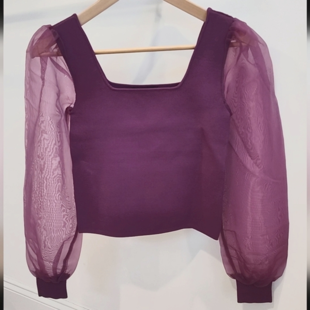 House of Harlow 1960 Sheer Puff Sleeves Knit Top